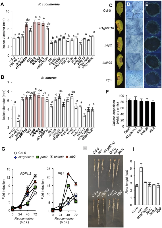 Characterization of disease resistance response of 18 mutants defective in the different transcription factors (TFs) identified as co-regulated with <i>MYB46</i> and <i>CESA4</i>, <i>CESA7</i> and <i>CESA8</i>.