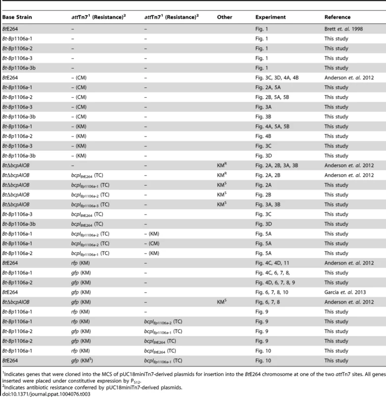 Relevant strain list.