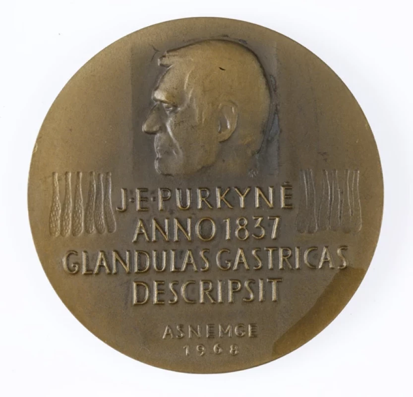 Medaile u příležitosti VIII. mezinárodního gastroenterologického kongresu v Praze 1968 – líc