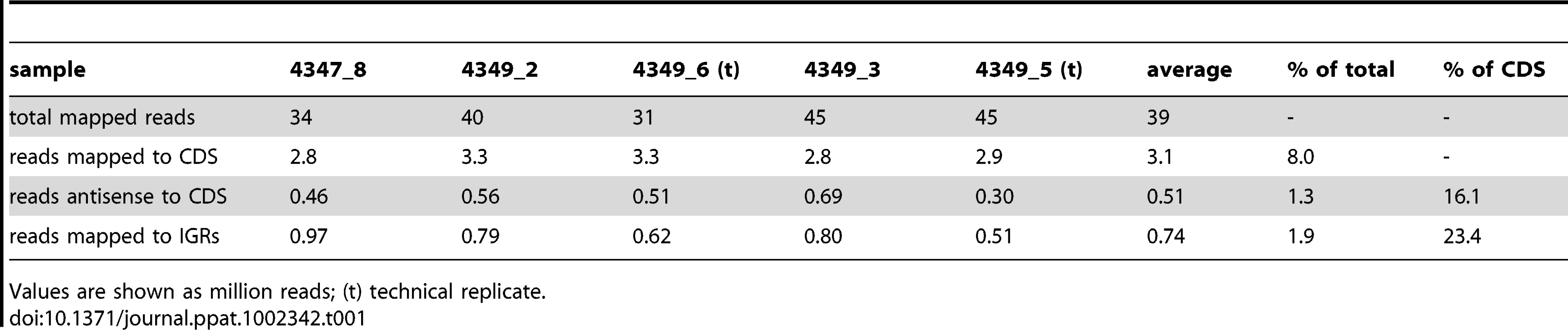 RNA sequencing profiles for exponential phase cultures of <i>M. tuberculosis.</i>