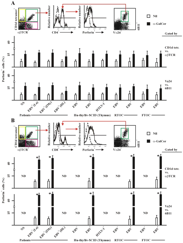 Perforin expression in human and chimeric CD4<sup>+</sup> and CD8<sup>+</sup> NKT cells.