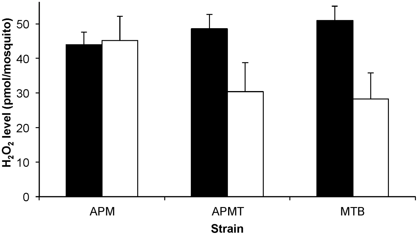 ROS levels in <i>Ae. polynesiensis</i> strains.