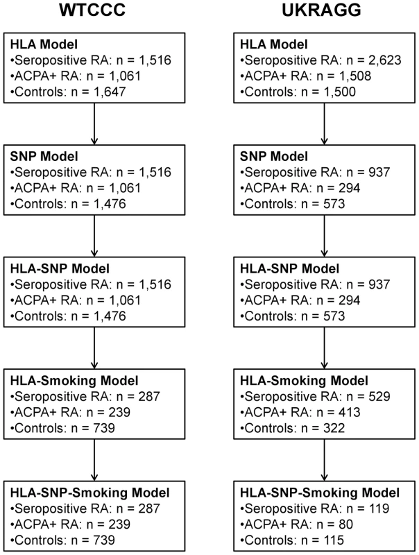 Number of individuals evaluated in each prediction model.