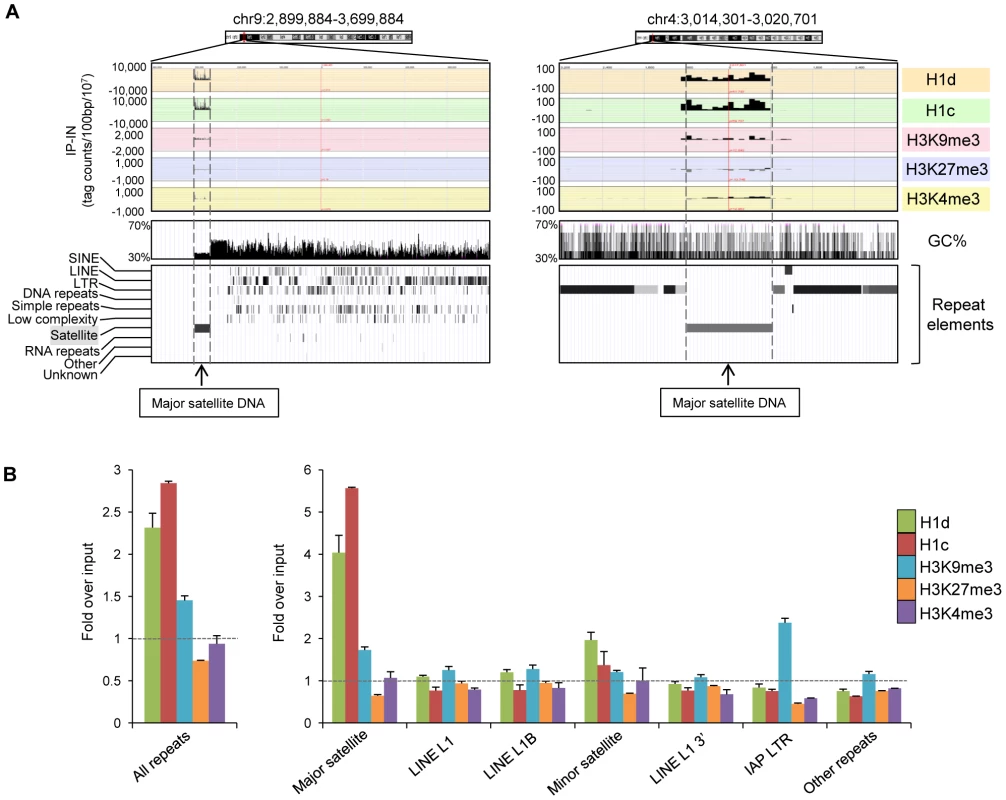 H1d and H1c are enriched at the major satellite sequences.