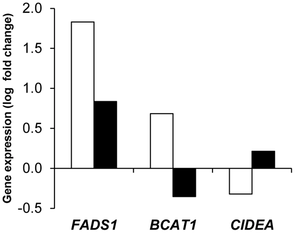 Adipose tissue markers of weight regain and weight loss during the 26-week weight maintenance diet.