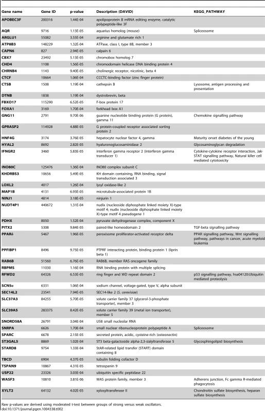 List of week/strong oscillator cell line discriminative genes.