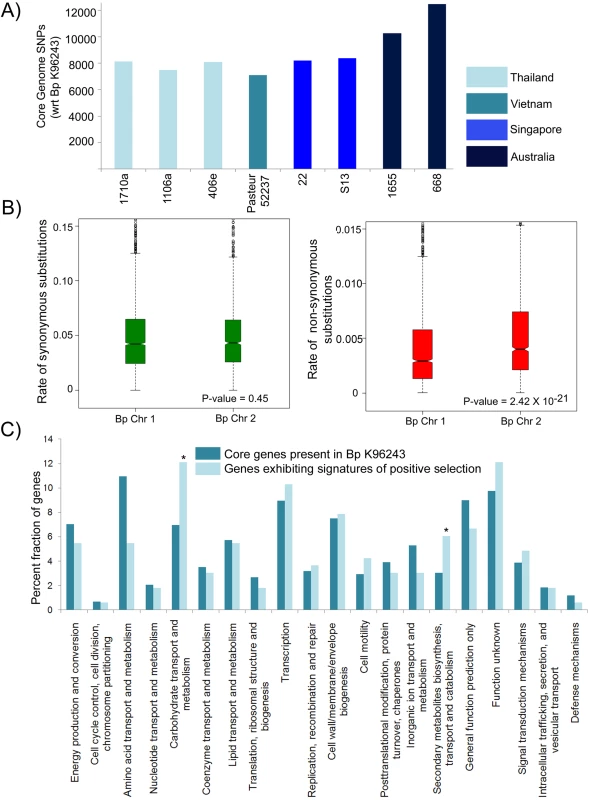 Genetic Variation in the Bp Core Genome.