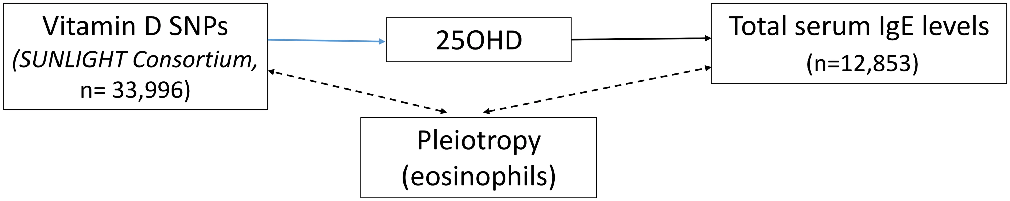 Direct Acyclic Graph (DAG) of the Mendelian randomization analysis for Immunoglobulin E (IgE) levels.