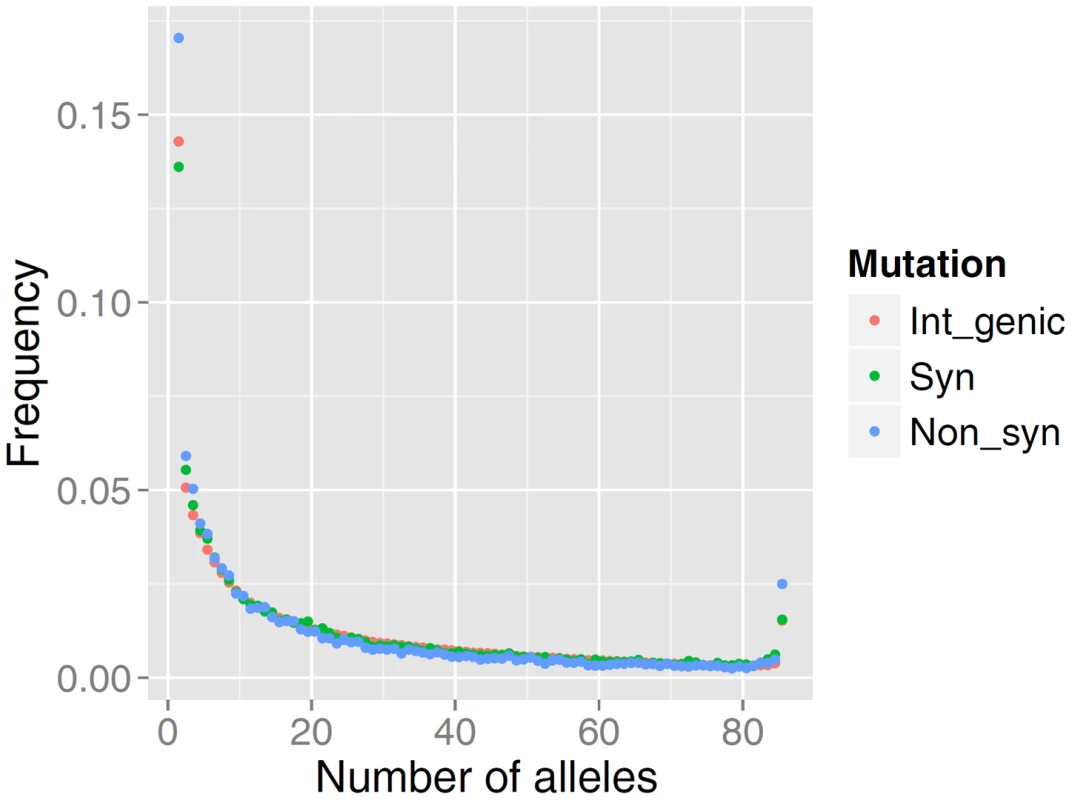 Comparison of the site frequency spectra from resequencing of 43 German Fleckvieh animals.