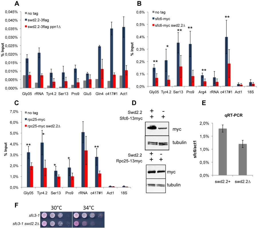Lack of Swd2.2 reduces the association of the RNA Pol III transcription machinery with chromatin.