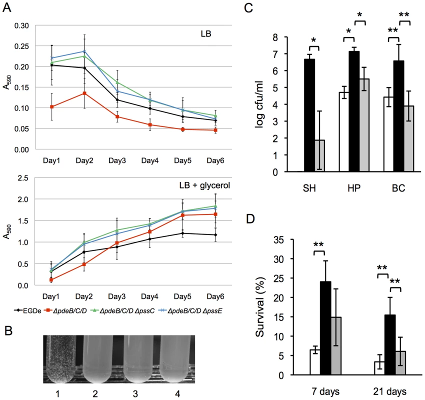 Role of the c-di-GMP-induced EPS in biofilm formation, cell aggregation, and tolerance of <i>L. monocytogenes</i> to disinfectants and desiccation.