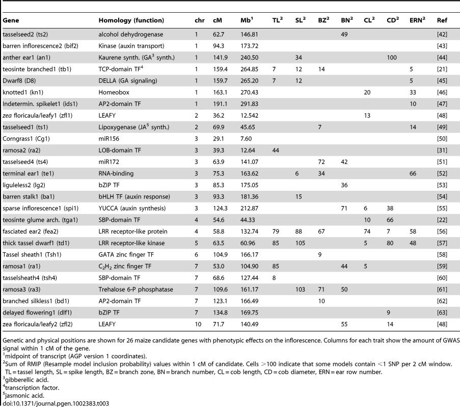 Cloned maize mutants with inflorescence phenotypes and their co-localization with GWAS SNPs.