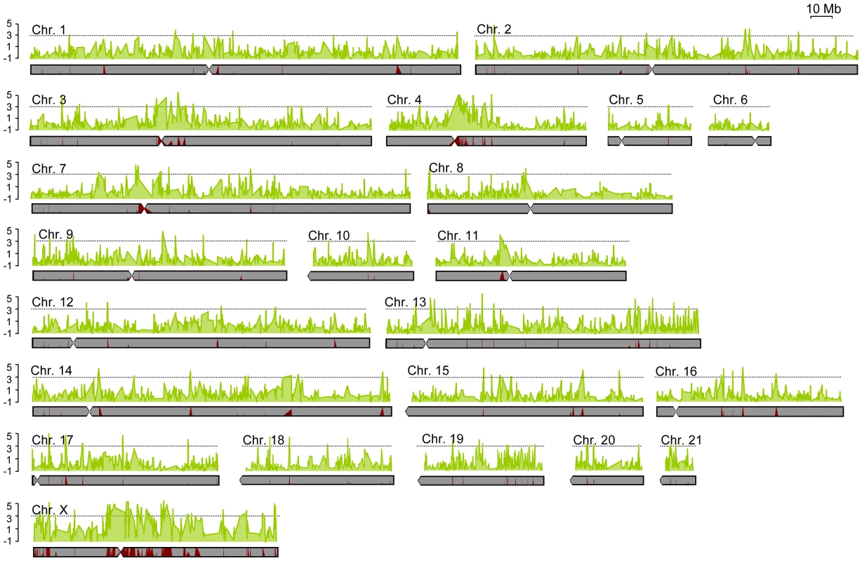 Levels of differentiation between subspecies varied greatly across the genome.