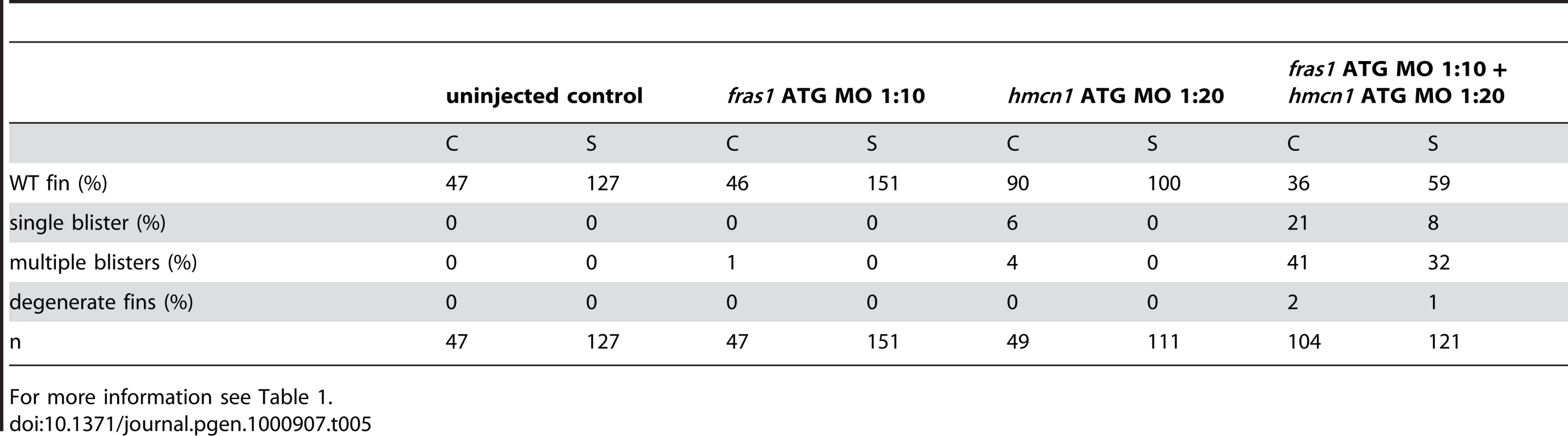 Synergistic interaction between <i>fras1</i> and <i>hmcn1</i>.
