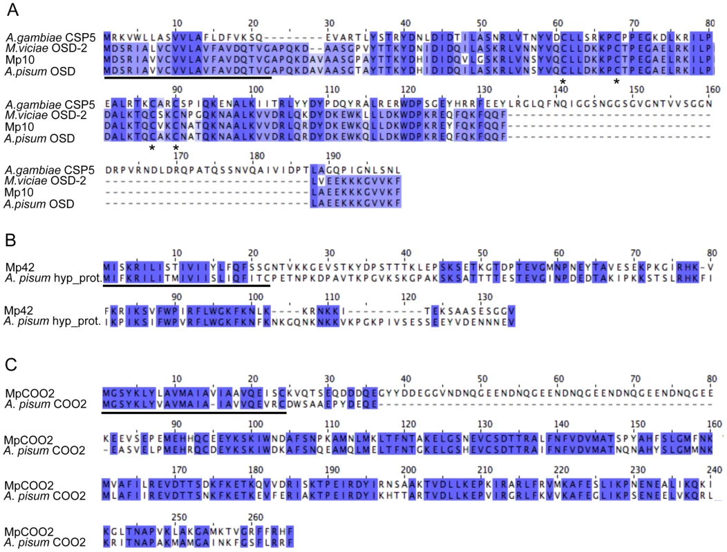 Amino acid alignments of <i>M. persicae</i> effector candidates that alter aphid fecundity.