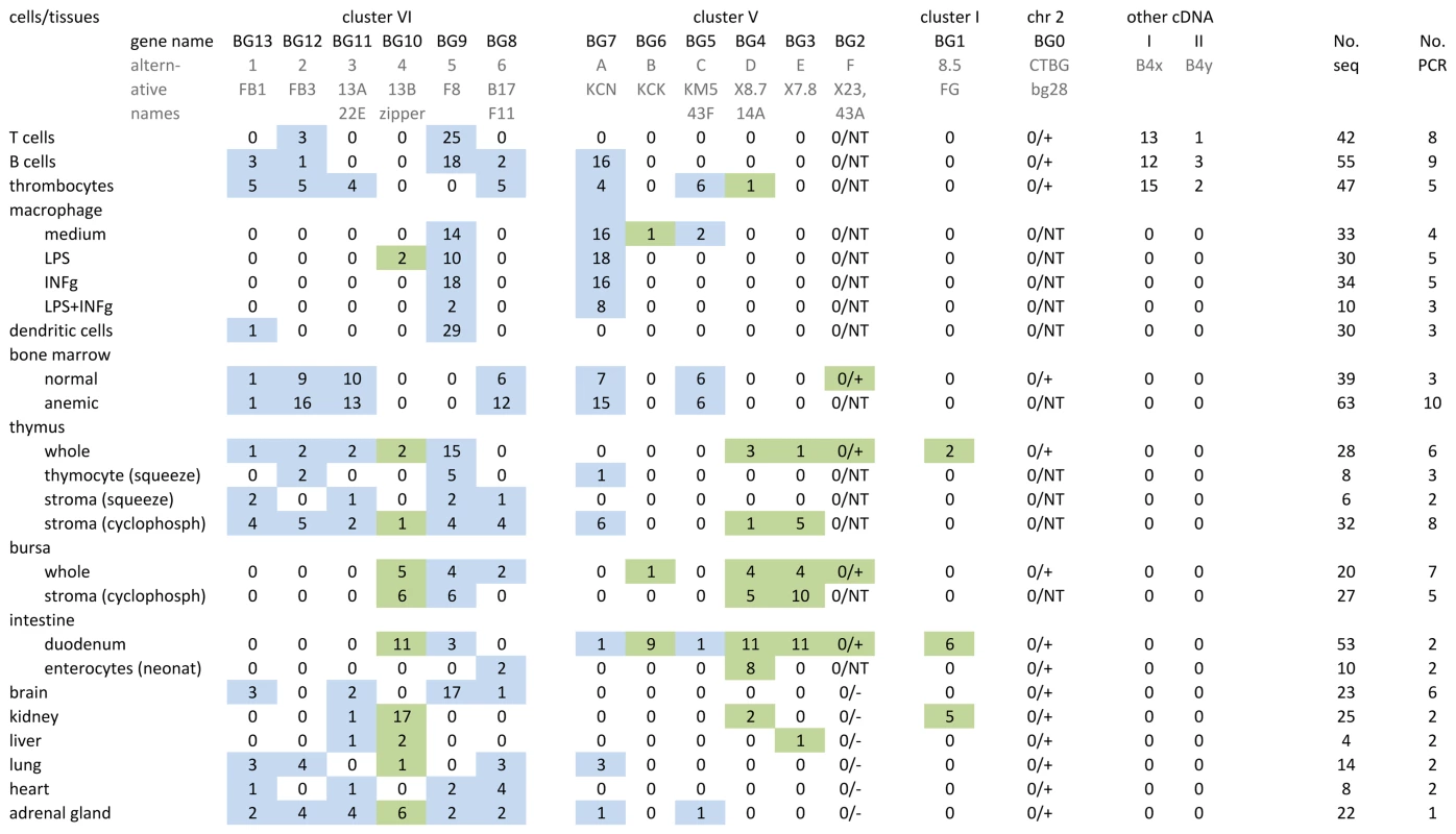 Individual BG genes of the B12 haplotype have striking expression patterns, as assessed by RT-PCR from cells and tissues using what were expected to be “universal primers” followed by cloning and sequencing.