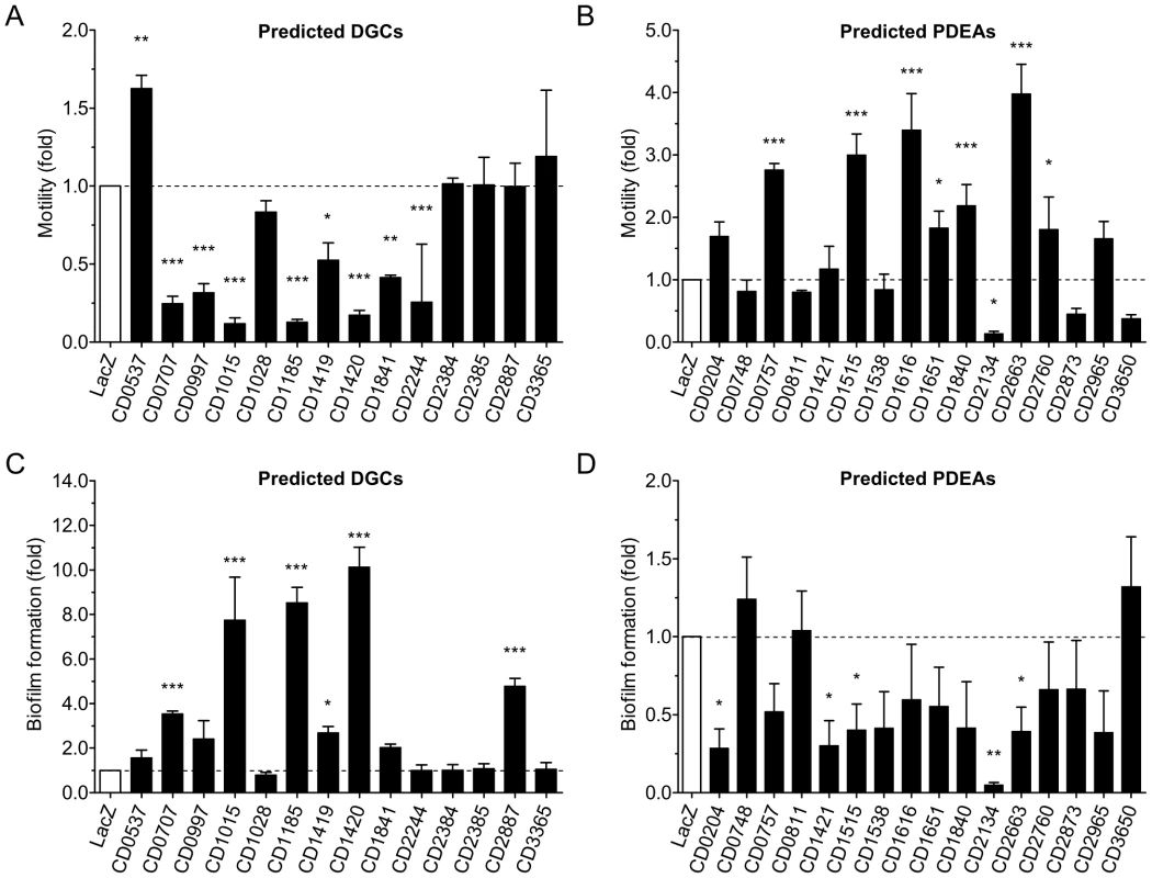 Phenotypic changes triggered by the expression of <i>C. difficile</i> 630 genes encoding predicted DGCs or PDEAs in <i>V. cholerae</i> N16961.