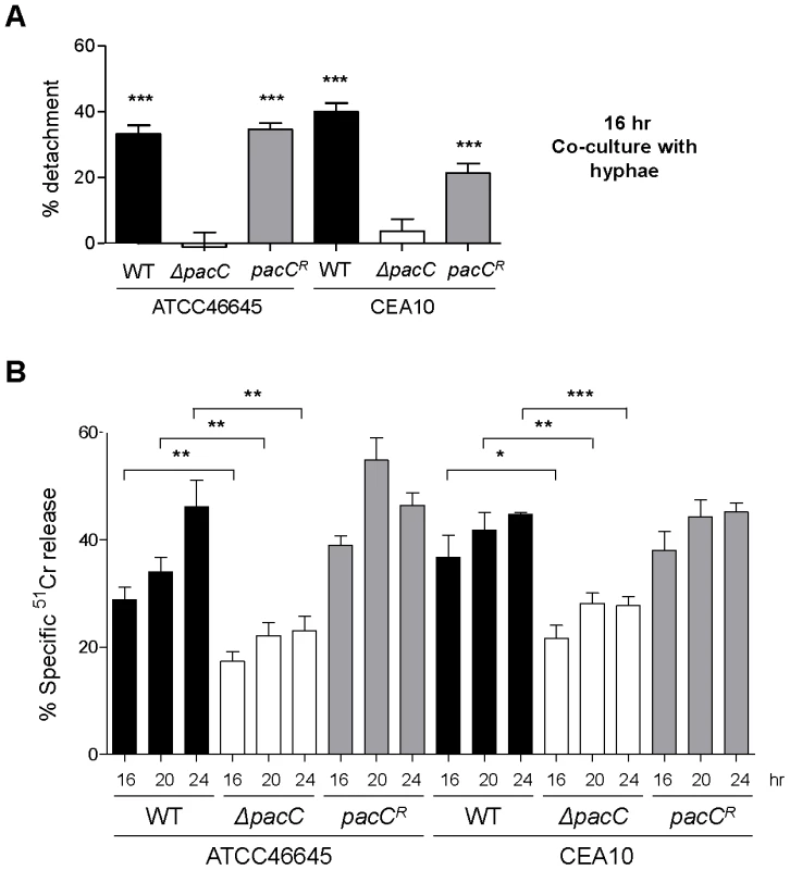 Quantitative analysis of epithelial integrity.