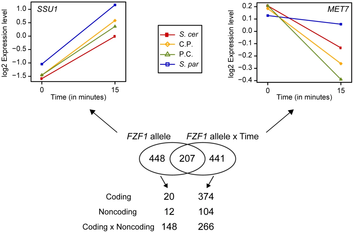 Changes in gene expression caused by <i>FZF1</i> divergence.