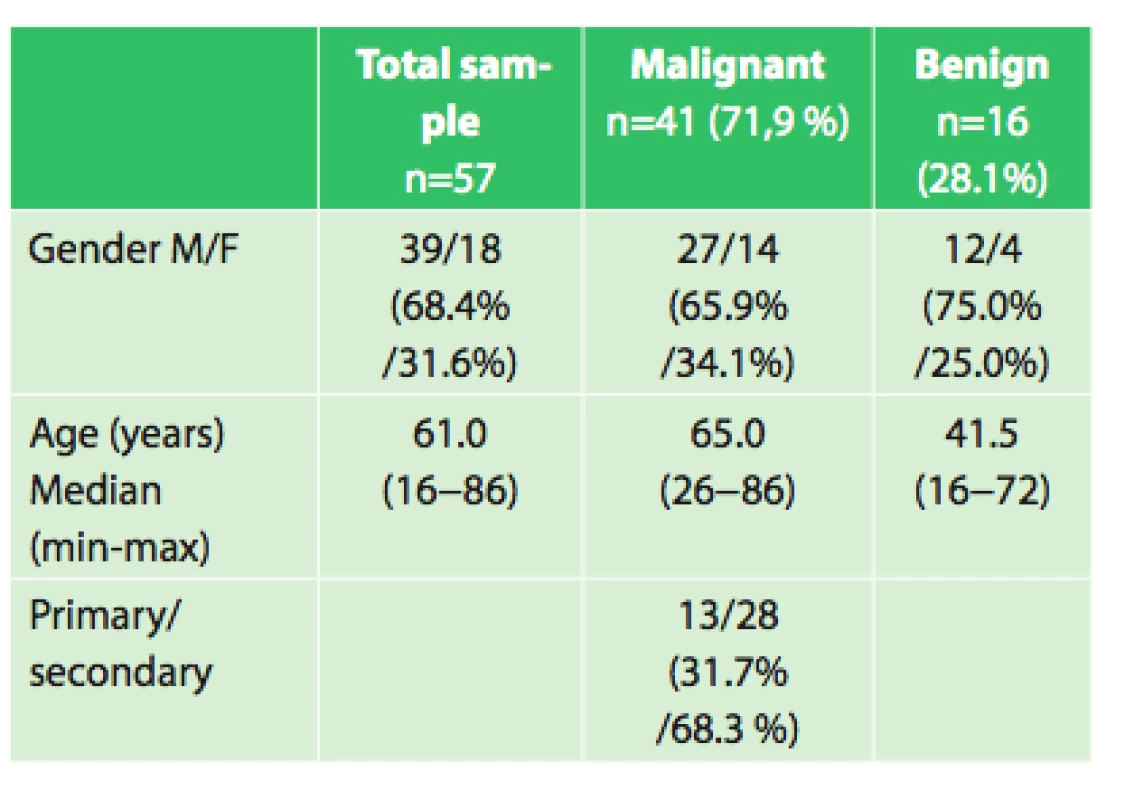 Characteristics of the group of patients.