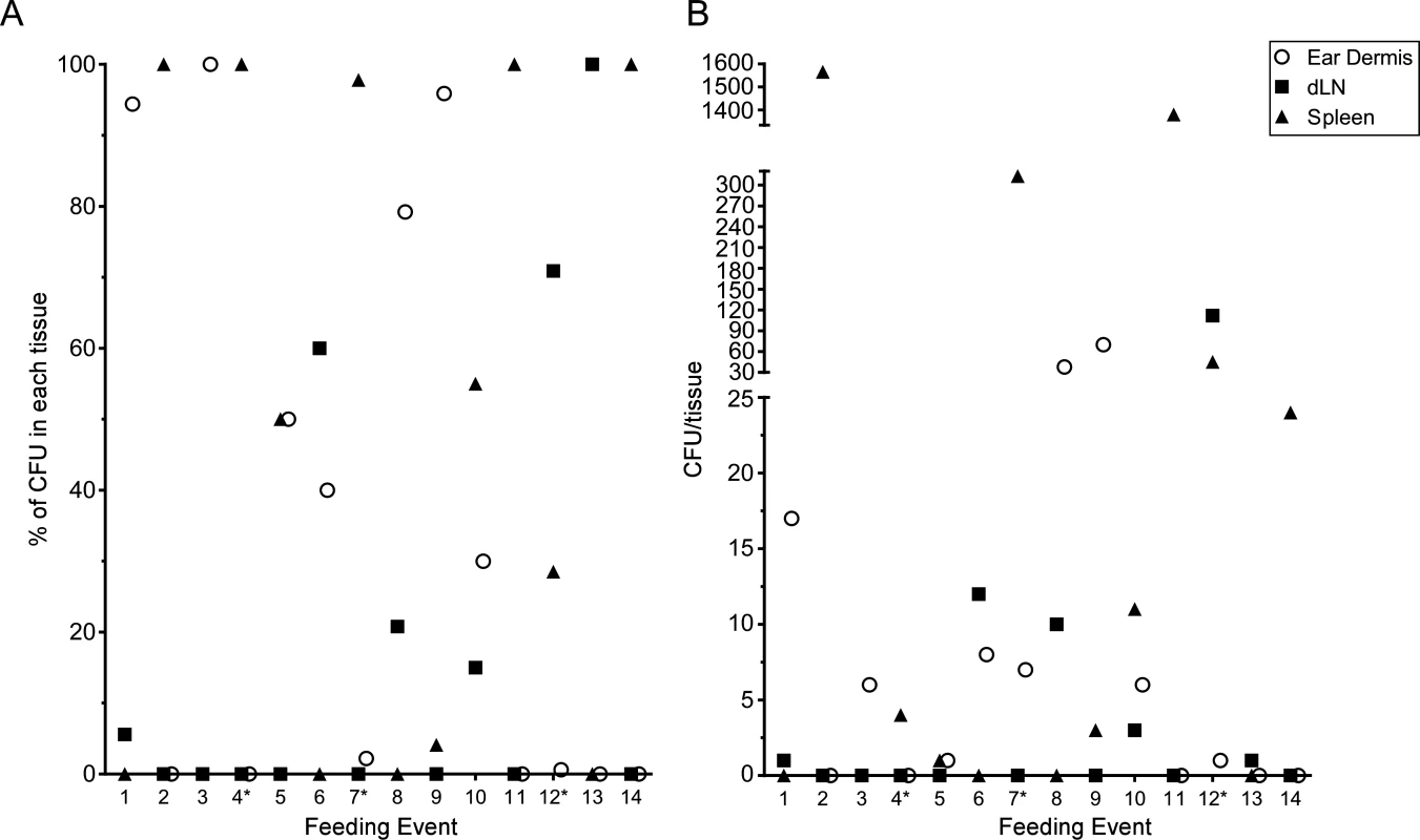CFU transmission data at 1 h post-feeding from 31 individual blocked flea feeding events.