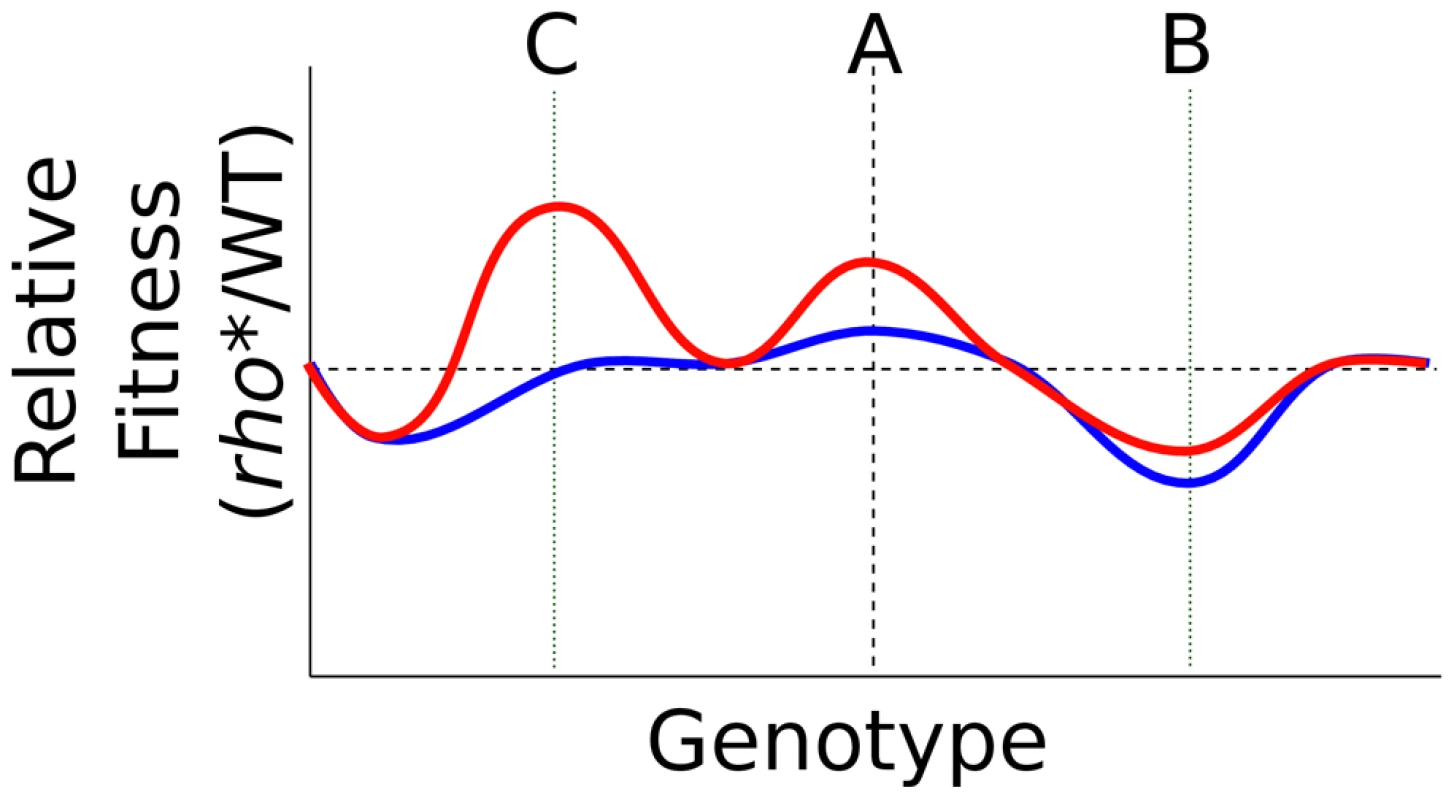 Transformation of the fitness landscape caused by <i>rho</i>*.