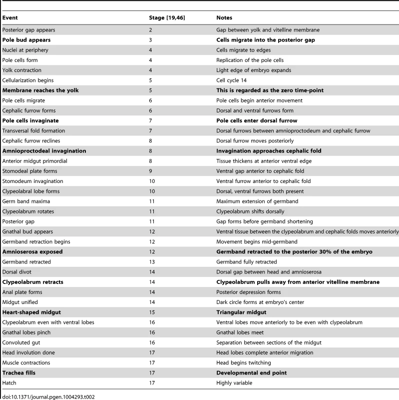 Major morphological events in <i>Drosophila</i> development.