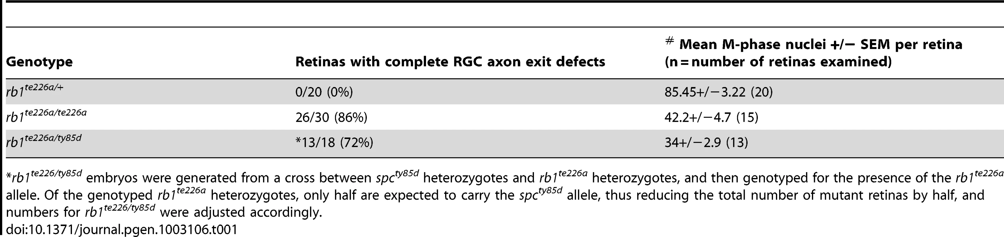 Comparison of the retinal phenotypes observed at 36 hpf in the two <i>rb1</i> mutant alleles.