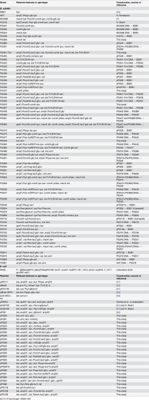 Strains and plasmids used in this study.