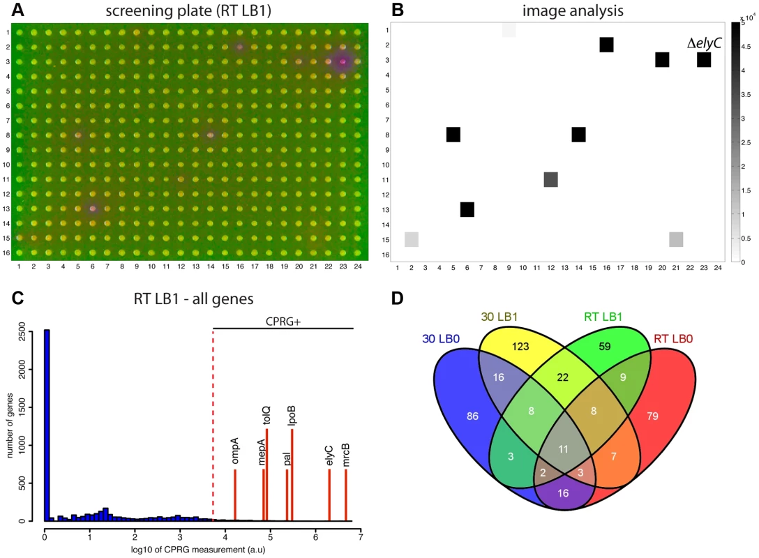 Using the CPRG assay in high-throughput.