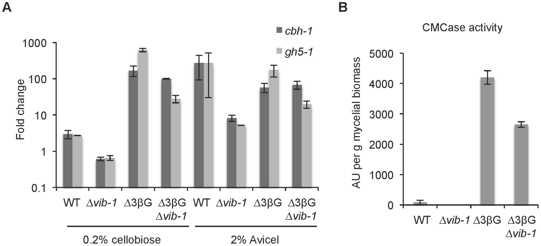 VIB1 is not required for cellobiose sensing or signaling.
