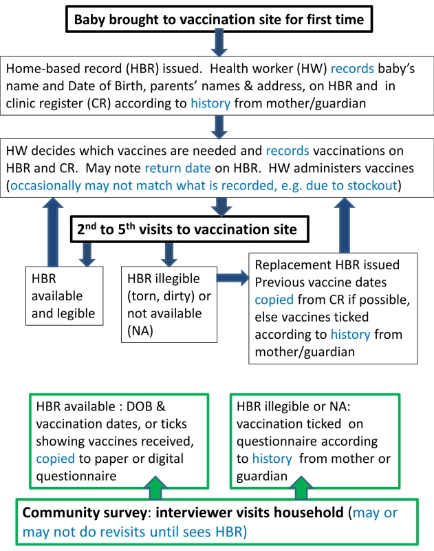 Schematic of recording of vaccination data at the time of vaccination and during community surveys.