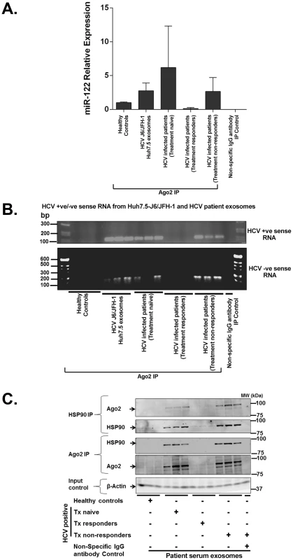 Exosomes from Huh7.5 cells and HCV infected patients' sera harbor replication competent HCV RNA and RISC complexes that enhance HCV infection.