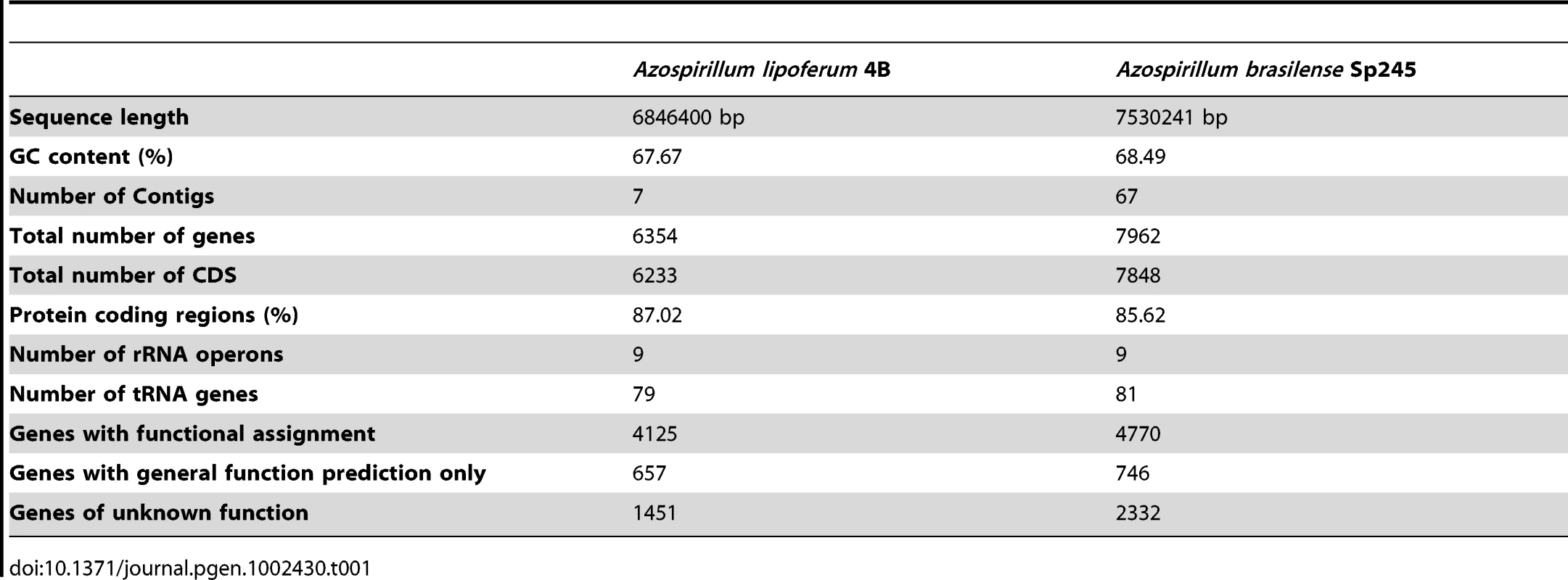 General features of <i>Azospirillum</i> genomes.