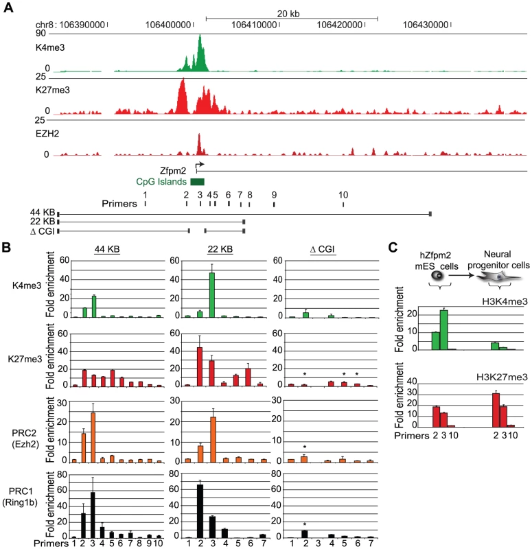 Recruitment of Polycomb repressors to a BAC integrated into ES cells.