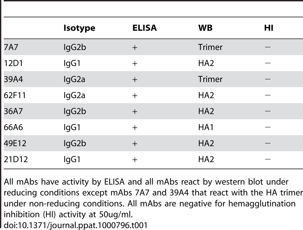 Pattern of reactivity of anti-H3 mAbs.