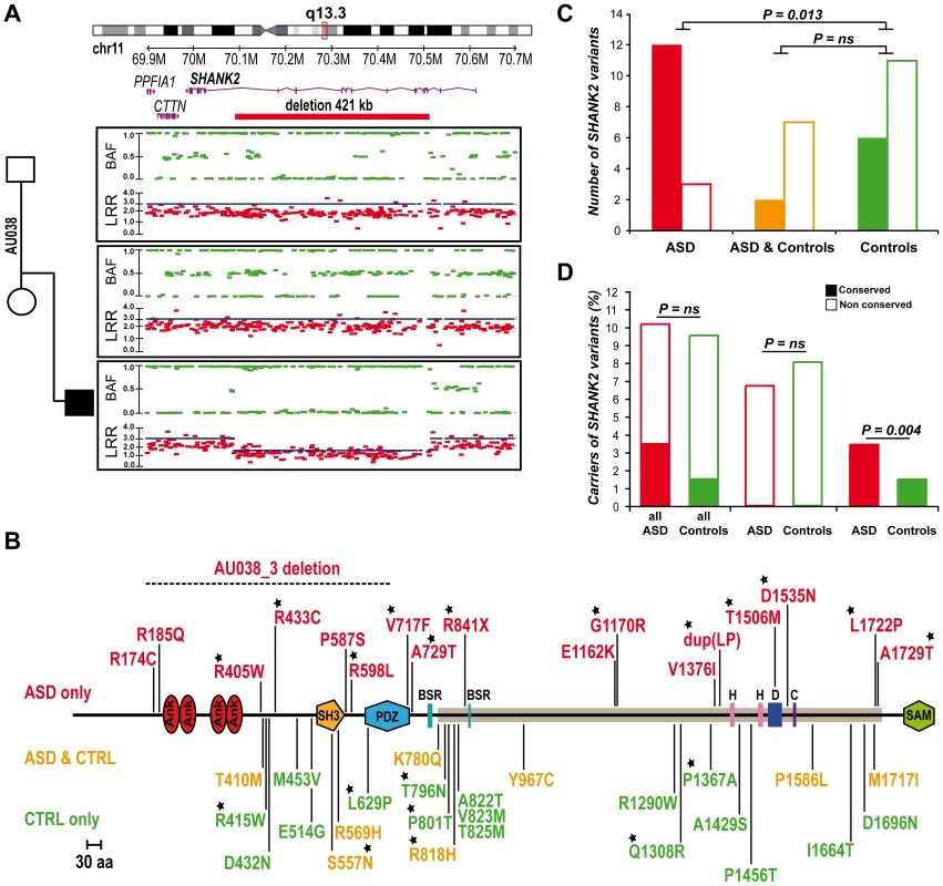 <i>SHANK2</i> mutations in patients with ASD.