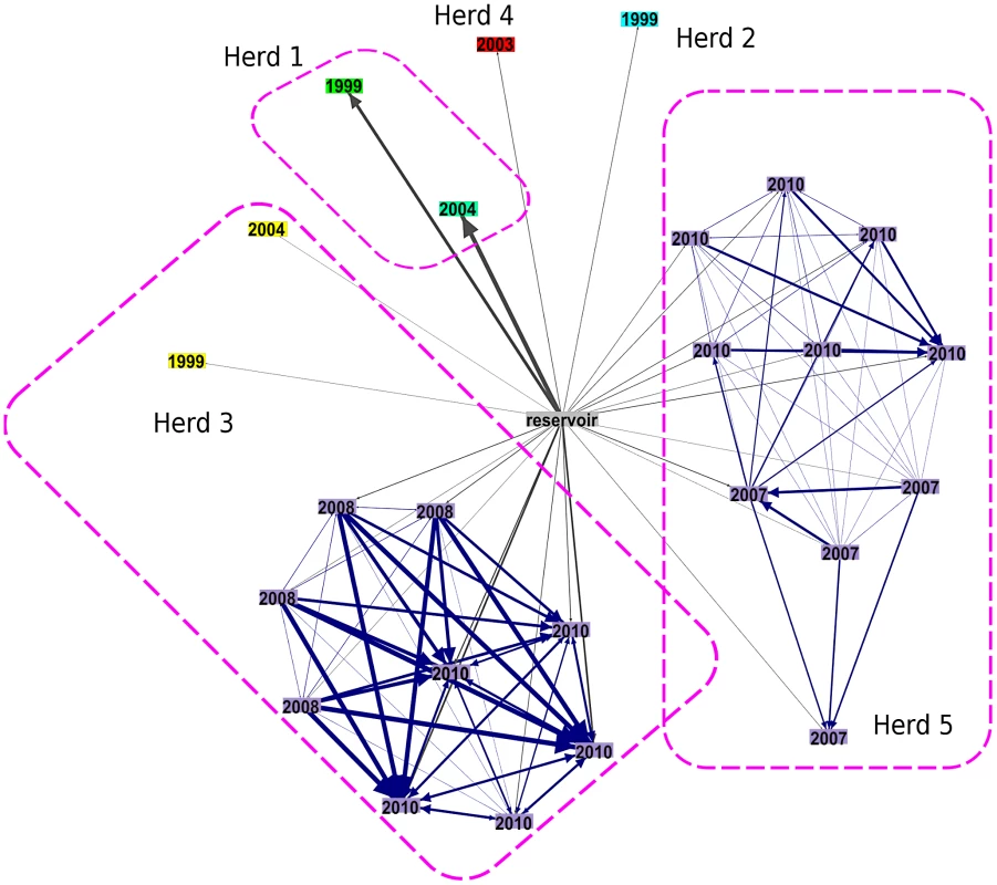 Probabilities of pairwise transmission pathways amongst infected cattle with sequenced isolates.