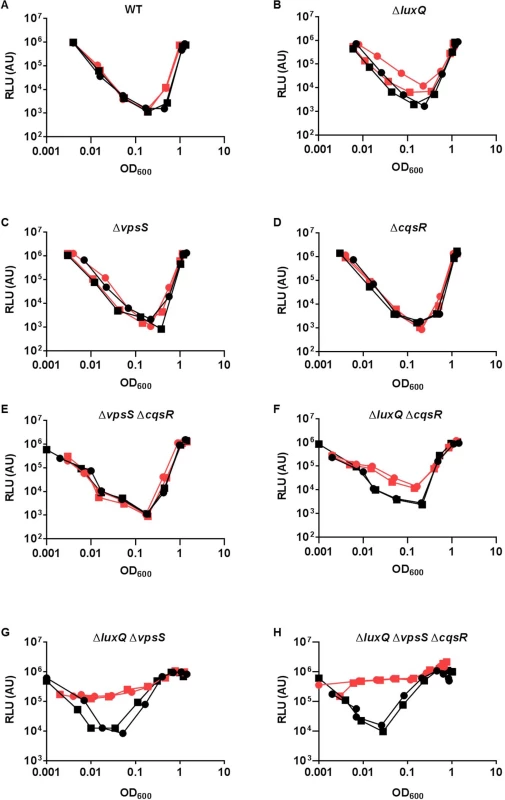 Multiple sensory inputs maintain <i>V</i>. <i>cholerae</i> QS system robustness.