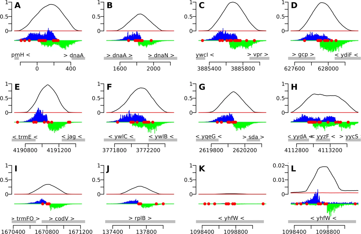 IDAP-Seq data for individual regions bound by DnaA.