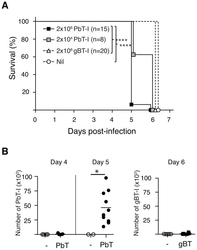 PbT-I cells infiltrate the brain and accelerate ECM.