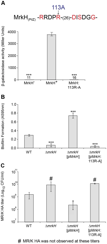 Analysis of a PilZ-domain mutation on MrkH-mediated transcriptional activation, biofilm formation and type 3 fimbriae expression.