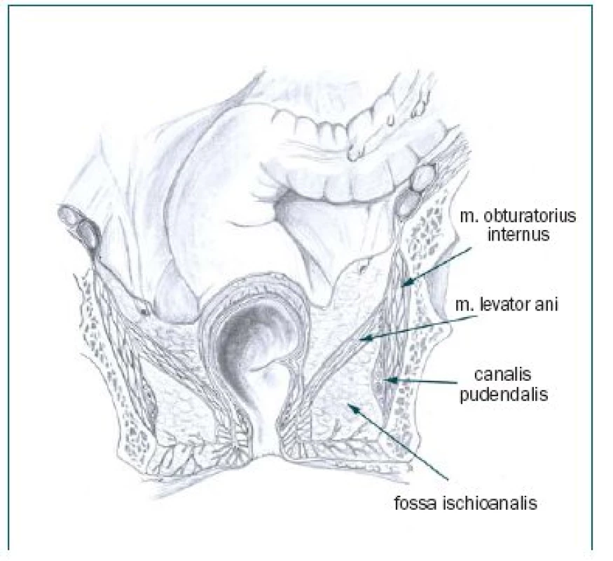Fossa ischioanalis.