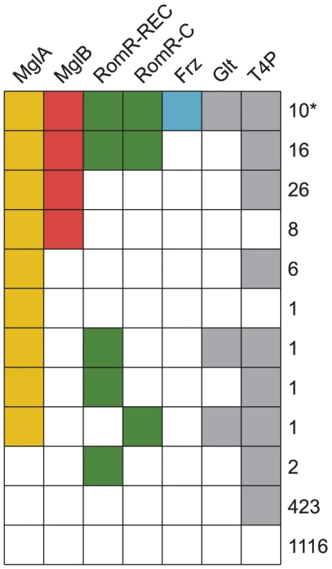 The genomic distributions of RomR and Frz overlap with those of MglA and MglB.