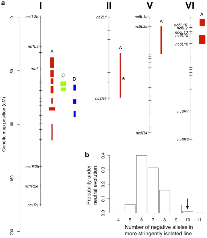 Genetics of hybrid fruitbody development in <i>N. crassa</i>.