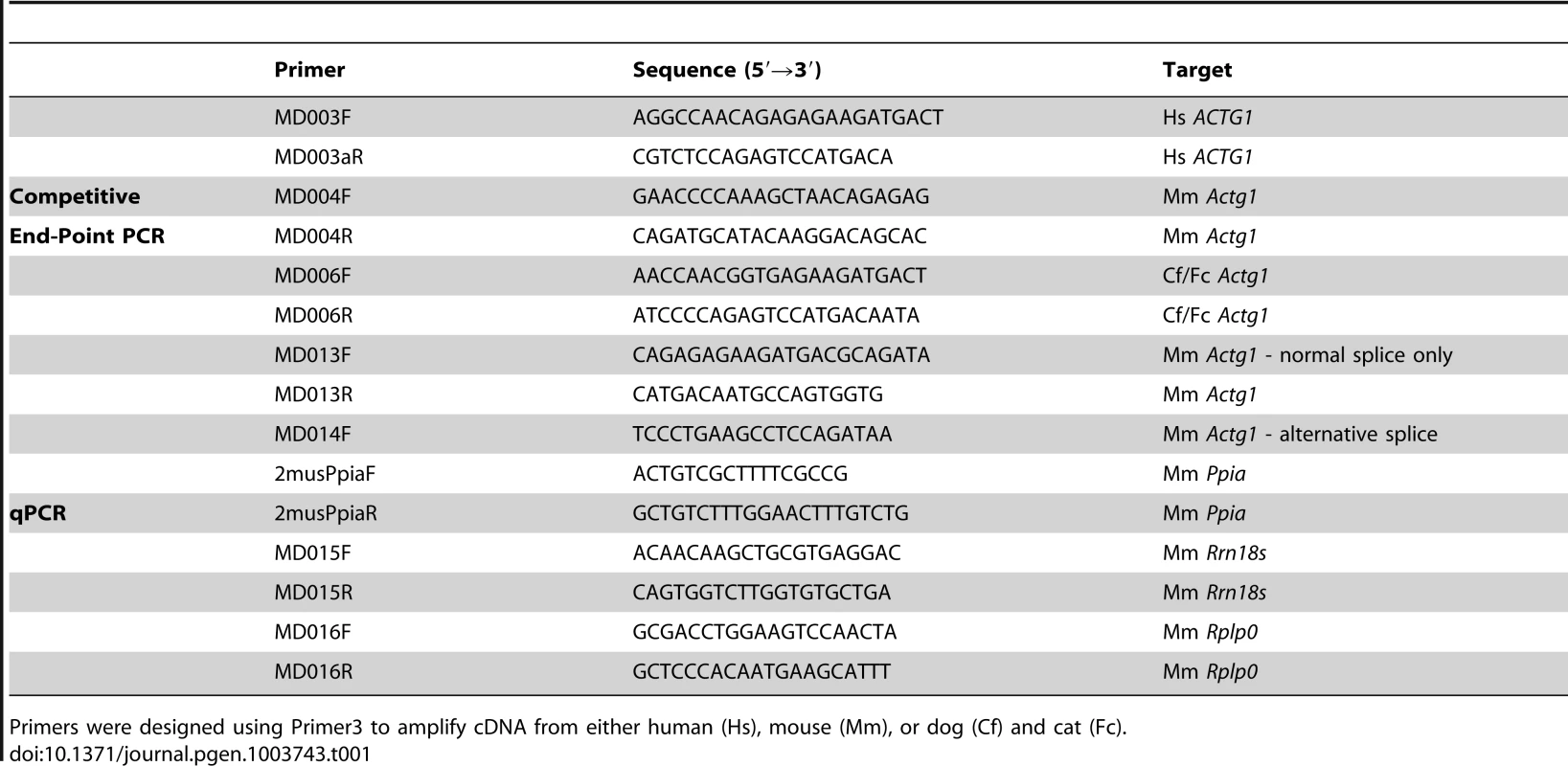 The sequence of primers used in this study.