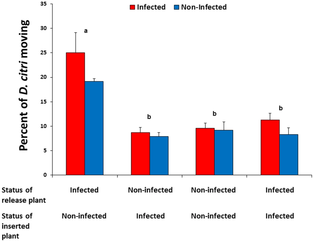 Movement of previously settled <i>D. citri</i> from Las-infected to non-infected citrus plants.