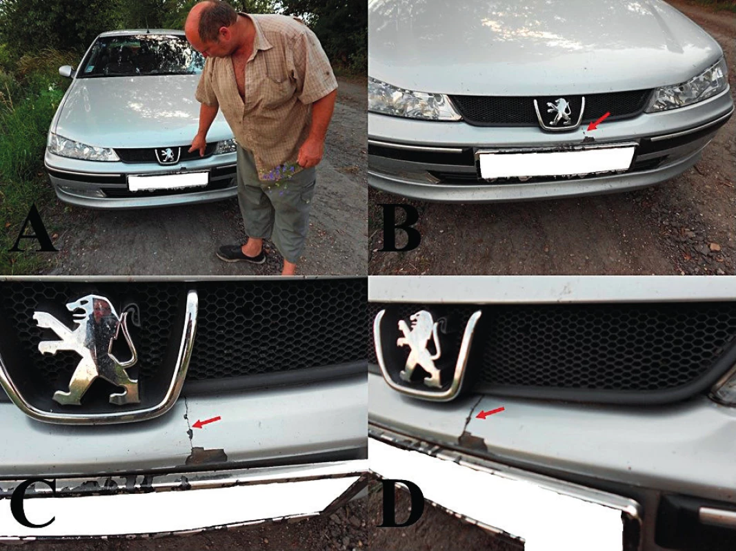 Střet srny a osobního automobilu