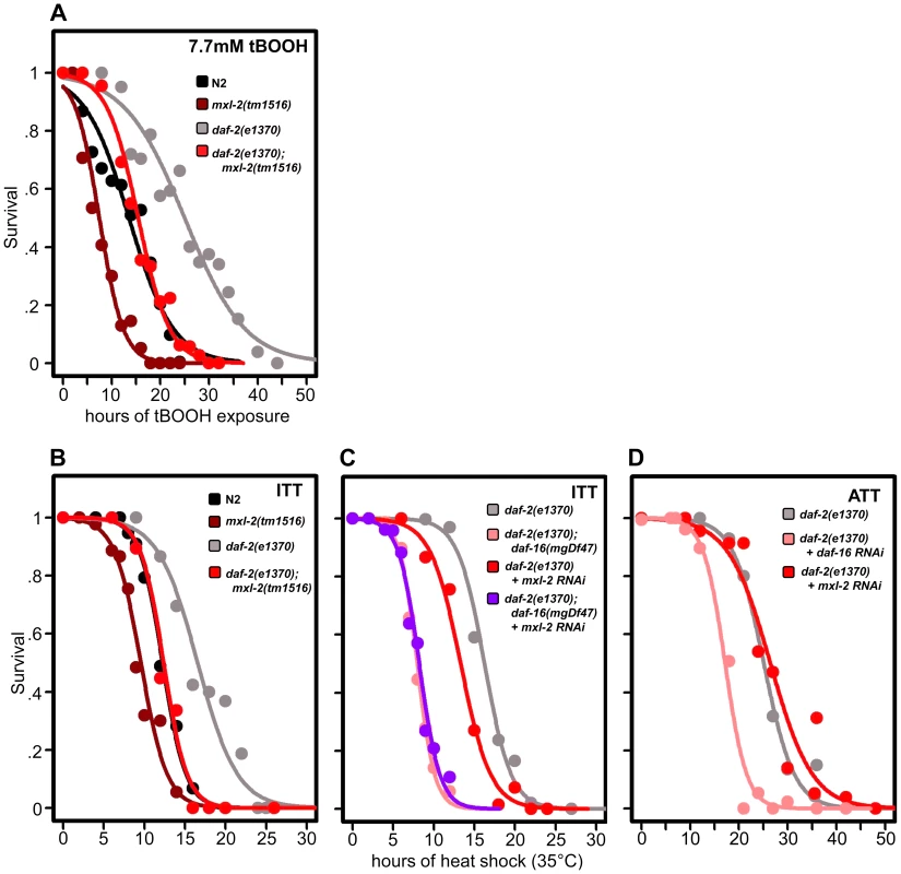 Loss of the Myc-Mondo complex impairs resistance to oxidative and thermal stress.