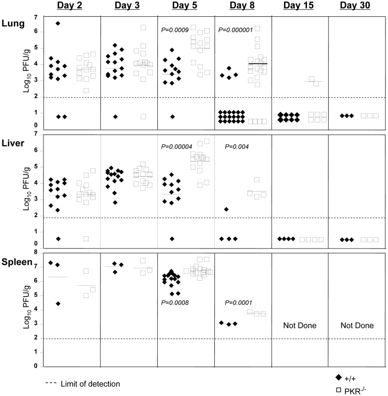 LCMV control in PKR<sup>−/−</sup> mice.